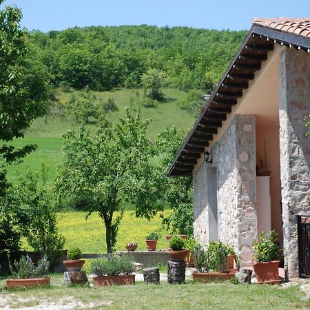 诺尔恰Casale La Torretta住宿加早餐旅馆 外观 照片